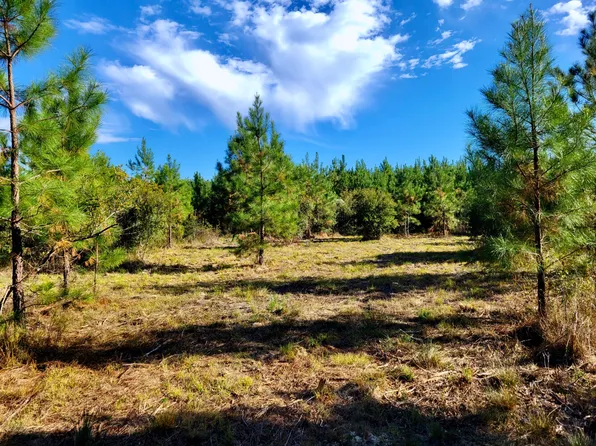 5025 Chester Hwy, Chester, GA 31012