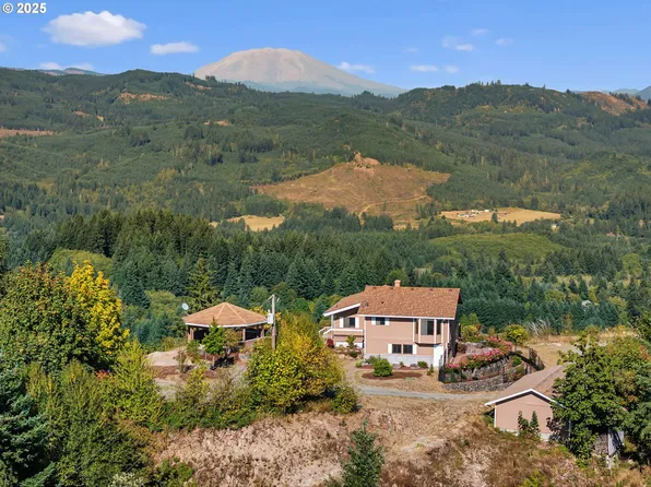 18010 NE 391st St, Amboy, WA 98601