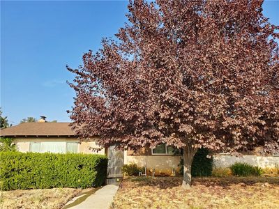 9239 Lilac Ln, Cherry Valley, CA, 92223