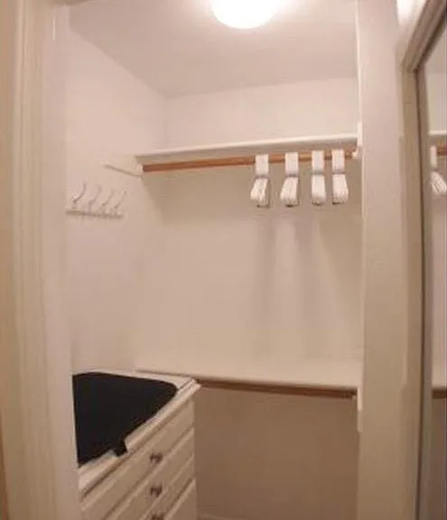 Master closet (shelving to the right as well)