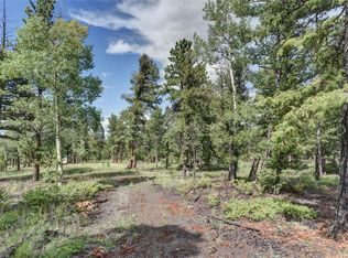 132 Singletree Rd, Buena Vista, CO 81211