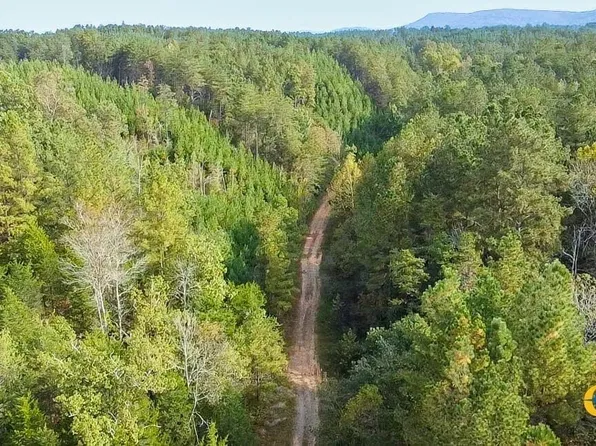 Paved Road Frontage, Fairmount, GA 30139