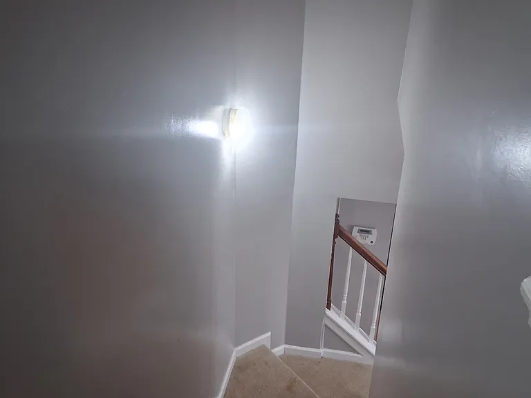 617 Forest Pointe Pl — Photo 2