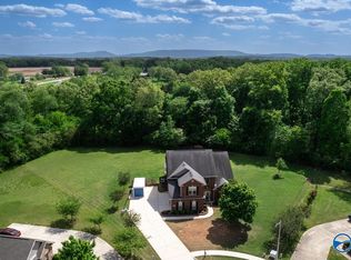 113 Pintlalla Pl, New Market, AL 35761