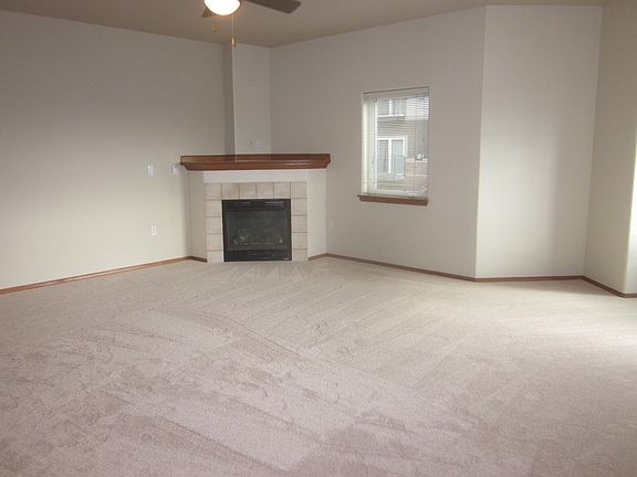 Gas Fireplace