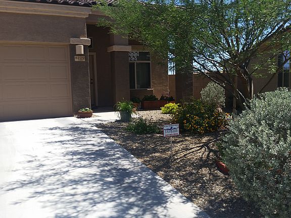 2nd image of 8229 W Melanitta Dr