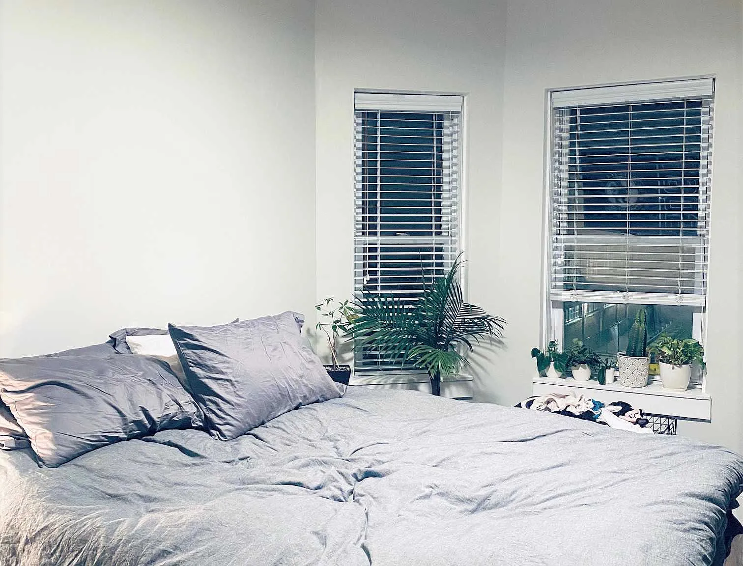 2 bed, $3,000 — Photo 2