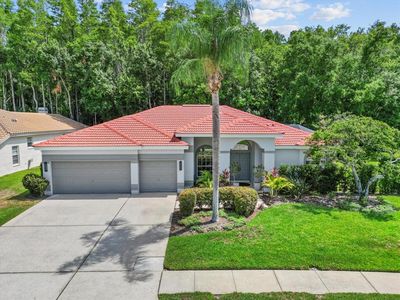 3181 Sterling St, Tarpon Springs, FL, 34688