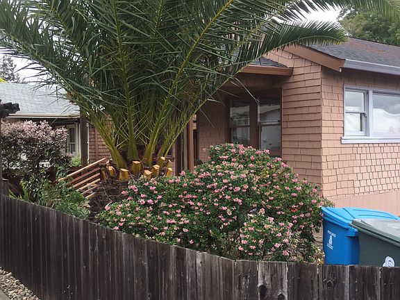 Front corner; gorgeous yard