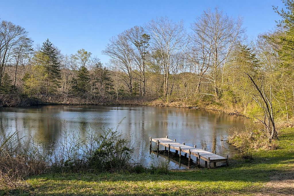 200 Valley Ranch Ln - Property Image