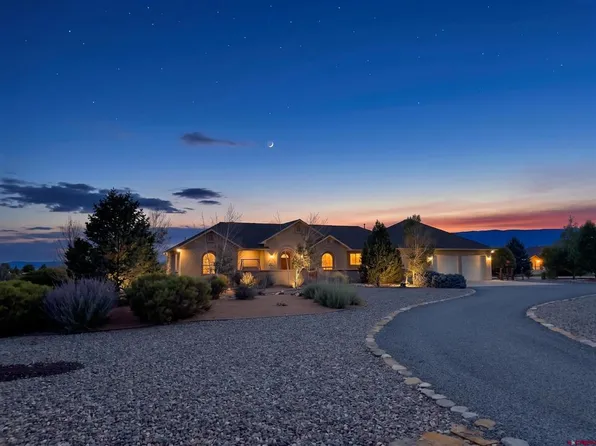 8705 Saddle Ridge Road, Austin, CO 81410
