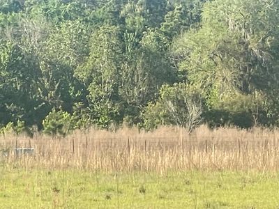 10 Beards Bluff Rd, Odum, GA, 31555