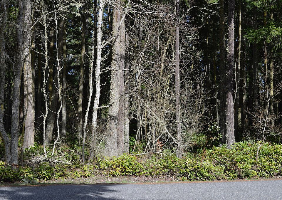 1st image of 0 Pinecrest Dr Lot 278