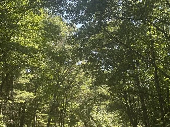Lot 3 271st Street, Holcombe, WI 54745