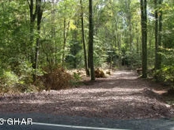 Sandy Rd, Freeland, PA 18224
