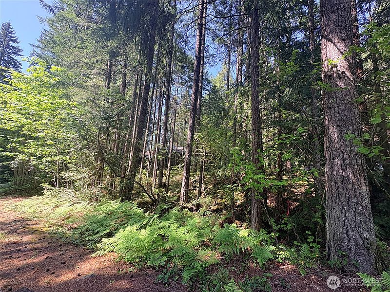 4th image of 30 N Skokomish Drive