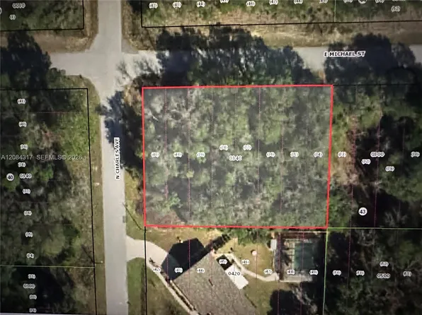 3026 E Michael St, Inverness, FL 34453