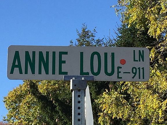 4th image of 20 Annie Lou Ln
