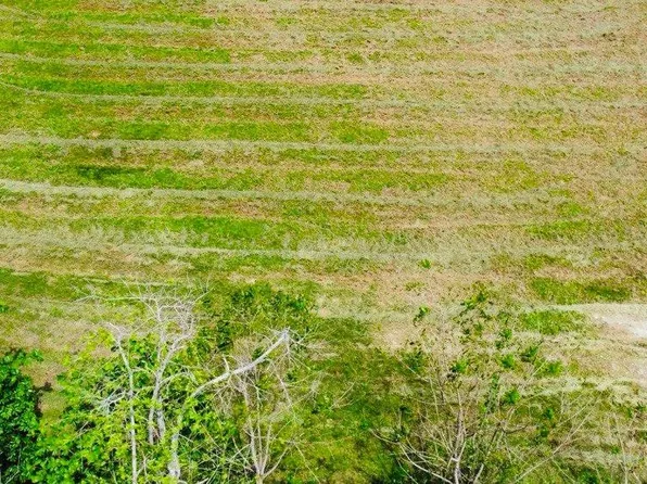 Km 20.2 Bo Guayabos Aguada Carr #115, Aguada, PR 00602