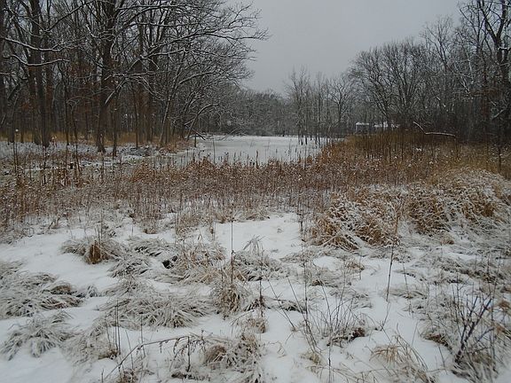 5th image of 14190 Mettawa Woods Dr Lot 4