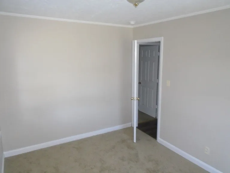 517 Albany St — Photo 13