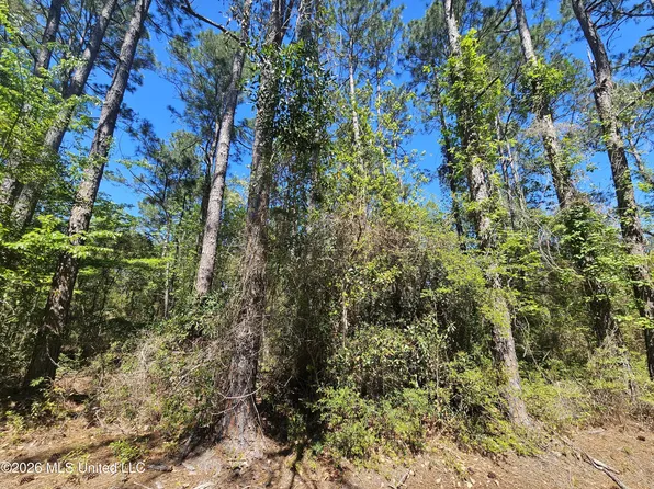 Nhn E Carroll St, Bay Saint Louis, MS 39521