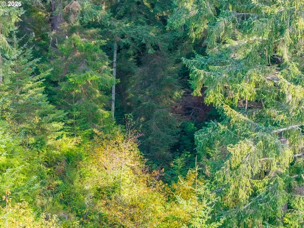 0 Molakai Vista Rd, Bandon, OR 97411