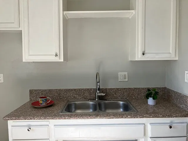 Kitchen sink