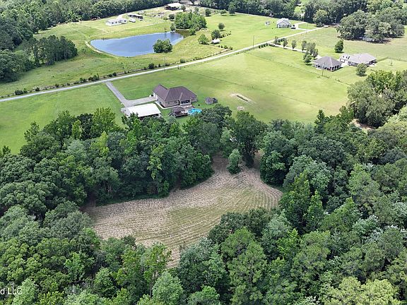 3rd image of 25034 Yellow Bluff Rd