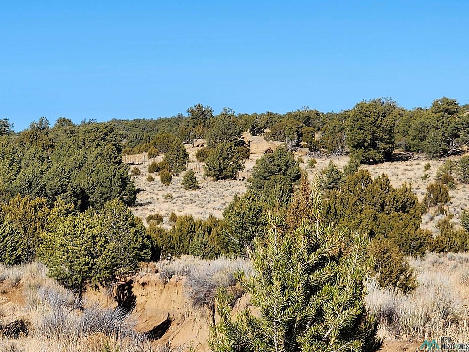 1st image of Ponderosa Ranches Trl