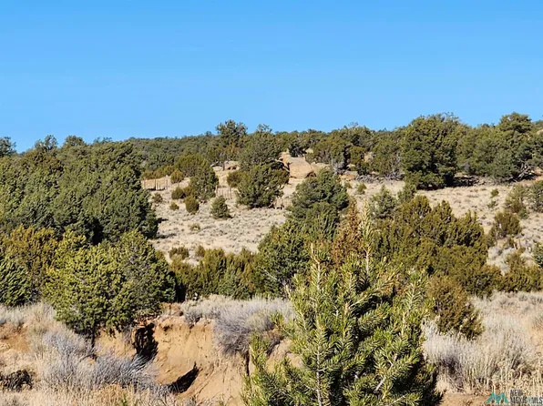 Ponderosa Ranches Trl, Pie Town, NM 87827