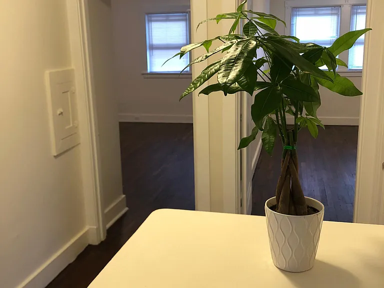 233 Sieaforth Ave — Photo 15