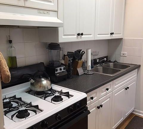 3rd image of 2034 N Damen Ave APT 2F
