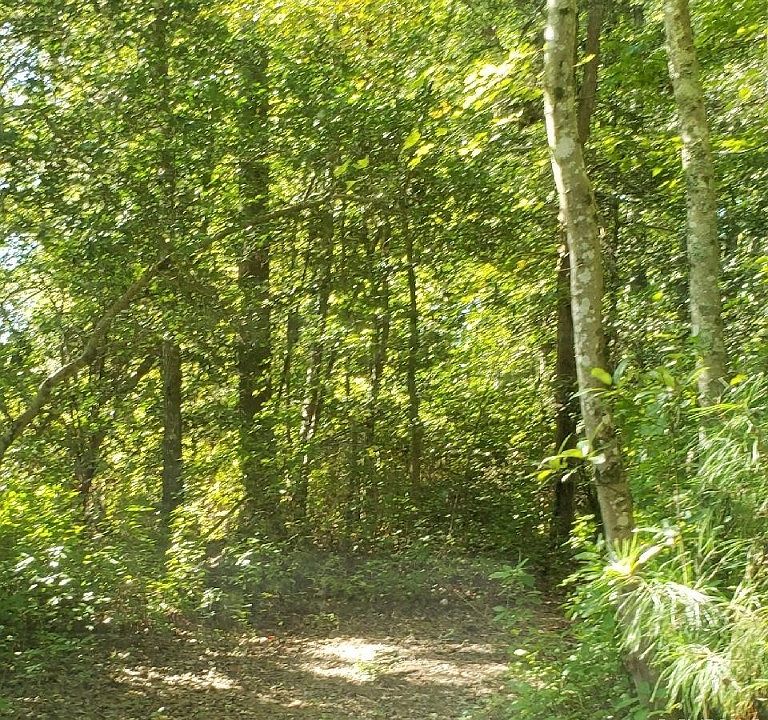 1st image of 0TBD Bellswood Dr