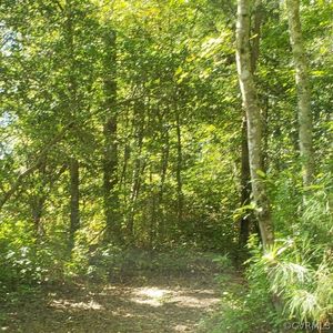 0TBD Bellswood Dr, Mechanicsville, VA, 23111