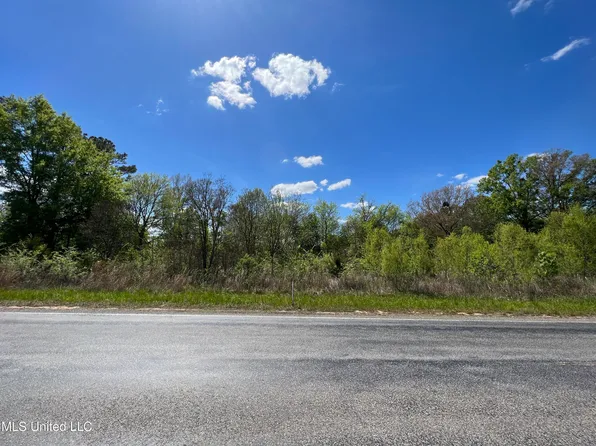 278 Measels Rd, Morton, MS 39117