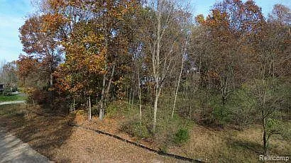 6 Dollar Ridge Ln photo 1