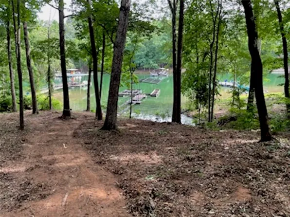 130 Rochester Rd, Townville, SC 29689