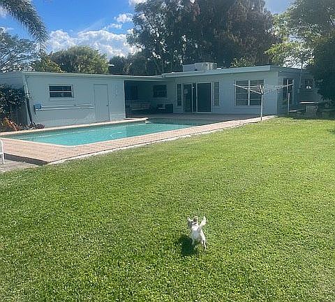 back yard dog friendly