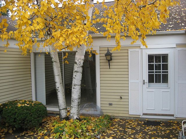 1st image of 1034 Dartmouth Dr