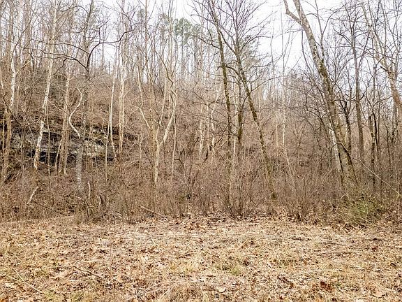 5th image of 0 County Road 19 #A