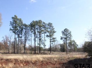 880 Stone Chimney Rd LOT 21-3608, Bullard, TX 75757