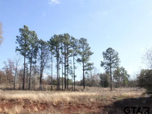 880 Stone Chimney Rd Lot 21-3608, Bullard, TX 75757