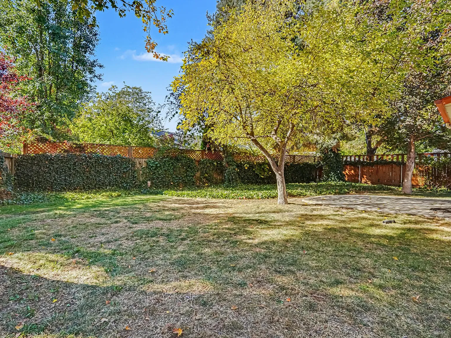 3 bed, 1502 sqft, $2,395 — Photo 3