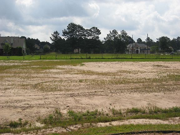 5th image of 16805 Steinhagen Rd