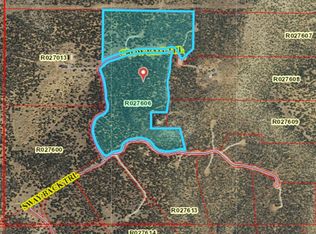 5 Crowbait Trl, Corona, NM 88318