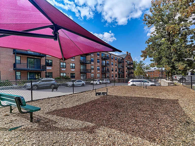 Residents and their pets love the fenced dog park at Wessex House Apartments _ complete with shaded seating, open play space, and a friendly community atmosphere.