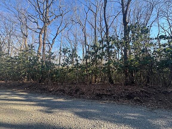 2nd image of Tbd Hickory Nut Hollar