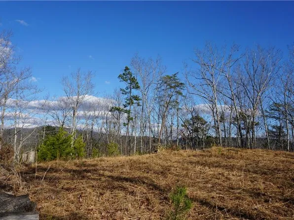 0 Muscadine Ln, Chatsworth, GA 30705