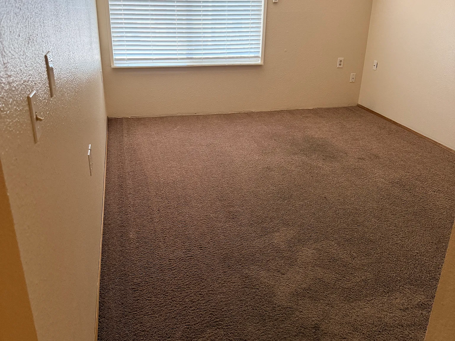 1 bed, 430 sqft, $1,150 — Photo 2